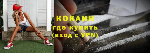 прущие грибы Абаза