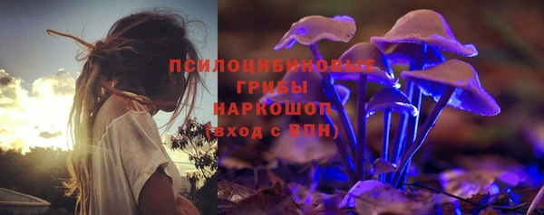 прущие грибы Абаза