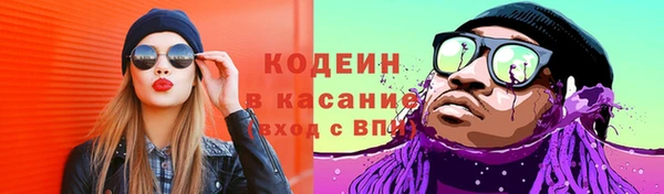 прущие грибы Абаза