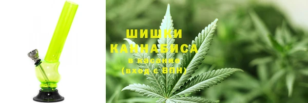 прущие грибы Абаза