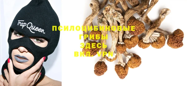 ALPHA-PVP Магас