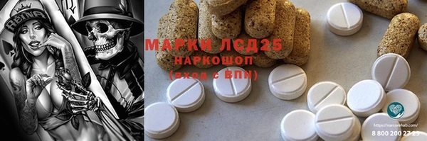 прущие грибы Абаза