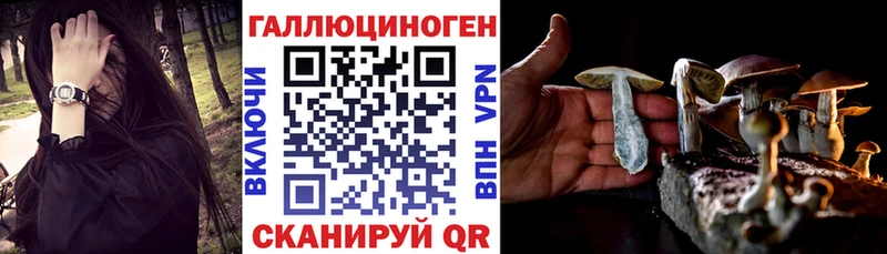 Галлюциногенные грибы Psilocybe  мега   дарк нет Telegram  Пойковский 